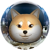 Space Doge Coin