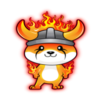 Burn Floki