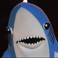 Shork Inu