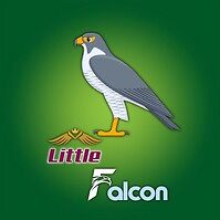 LittleFalcon