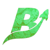 EarnBRO