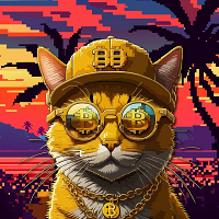 OP_CAT FINANCE