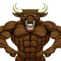 BearMeetsBull