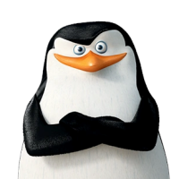 Skipper
