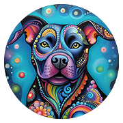 iDog