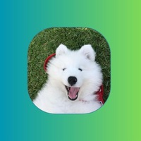 Fluff coin/fluffy