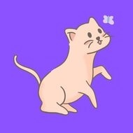 HOMELESSCAT