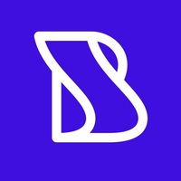 Brisepad