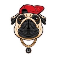 LittlePug