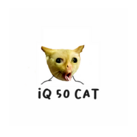IQ50CAT