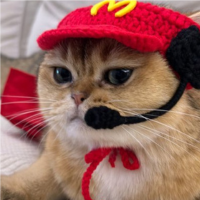 MeowDonalds