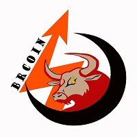 Bull Run Coin