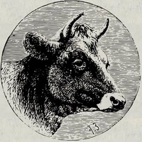 Cash Cow