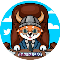 Baby floki ceo