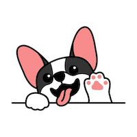 PupSwap