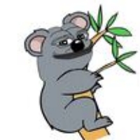 KOALA AI