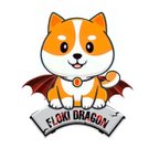 FLOKI DRAGON