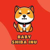 Baby Shiba Inu1