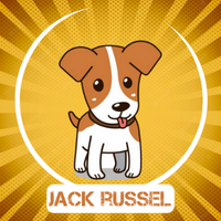 Jack Russel Inu