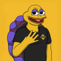 PEPI THE TURTLE