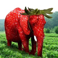 Real Strawberry Elephant