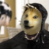 Proof of DOGNOM