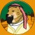 SAUDI CHEEMS INU