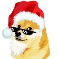 Santa Doge