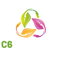 C6 Protocol