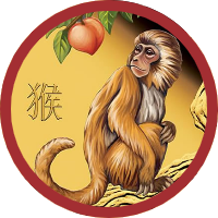 APE COIN FINANCE