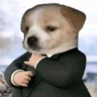doginsuit