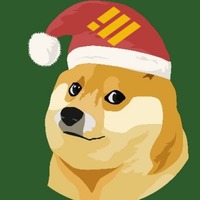 BUSD Santa Doge