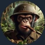 Chimpe on Solana