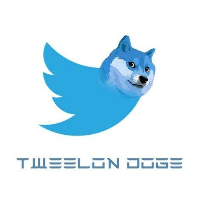 TWEELON DOGE