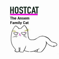 Ansem family cat