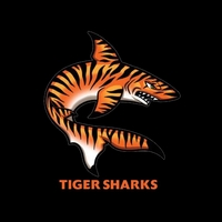 Tiger Shark