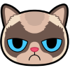 Grumpy Cat