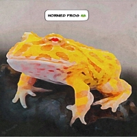 Horned Frog