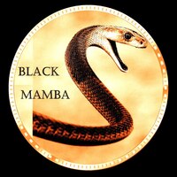 BLACK MAMBA COIN