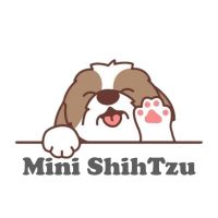 Mini ShihTzu