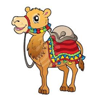 camel
