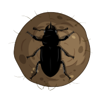 Dung Token