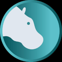 Hippopotamus token