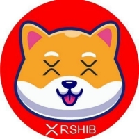 XR Shiba Inu