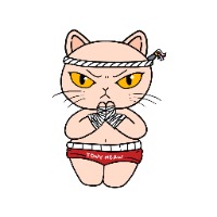Muay Thai Kitty