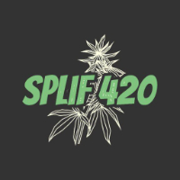 SPLIF420