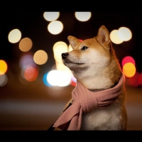 Suki