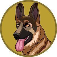 BERGERDOGECOIN
