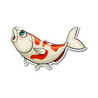 Koi Coin