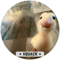 CallDuck TON Meme